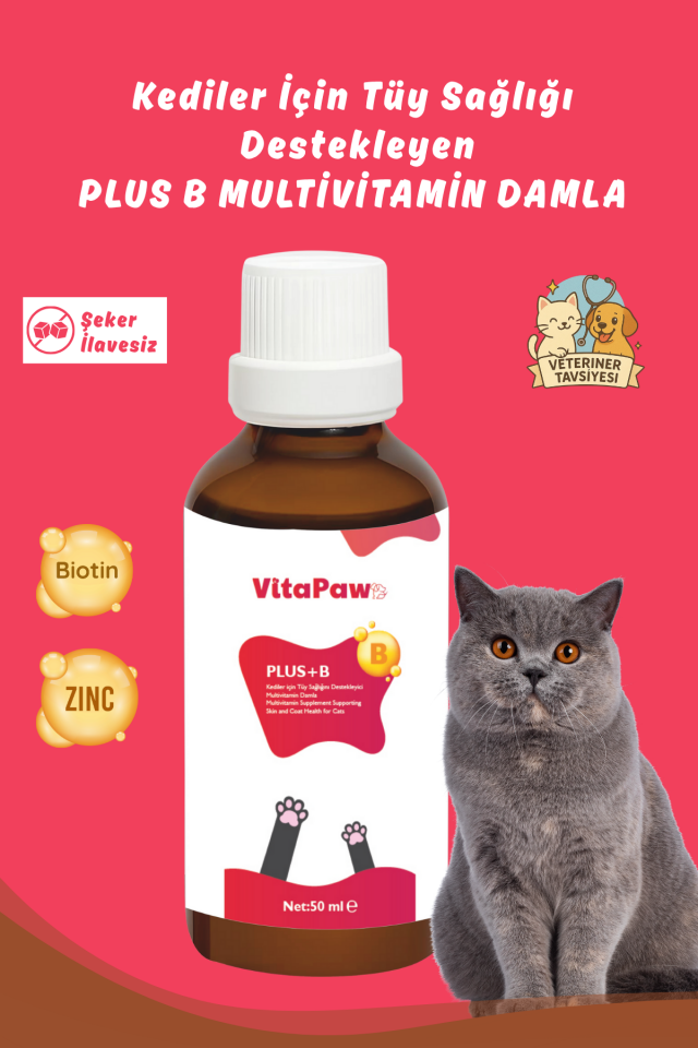 VitaPaw Plus B Kediler Için Tüy Dökümünü Azaltan, Besleyen Tüy Sağlığı Damlası Kedi Tüy Döküm Önleyici 50 ml