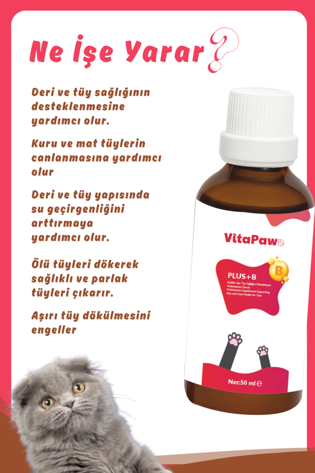 VitaPaw Plus B Kediler Için Tüy Dökümünü Azaltan, Besleyen Tüy Sağlığı Damlası Kedi Tüy Döküm Önleyici 50 ml